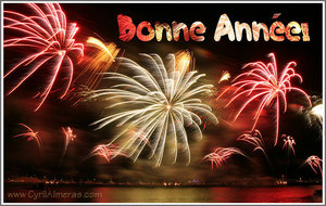 Bonne Année 2016